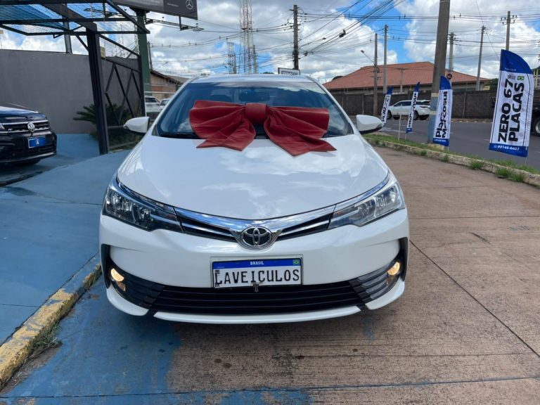 WhatsApp Image 2026-04-07 at 13.13.00