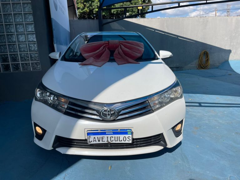 WhatsApp Image 2026-04-24 at 14.29.06