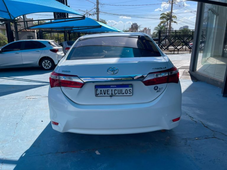 WhatsApp Image 2026-04-24 at 14.29.12